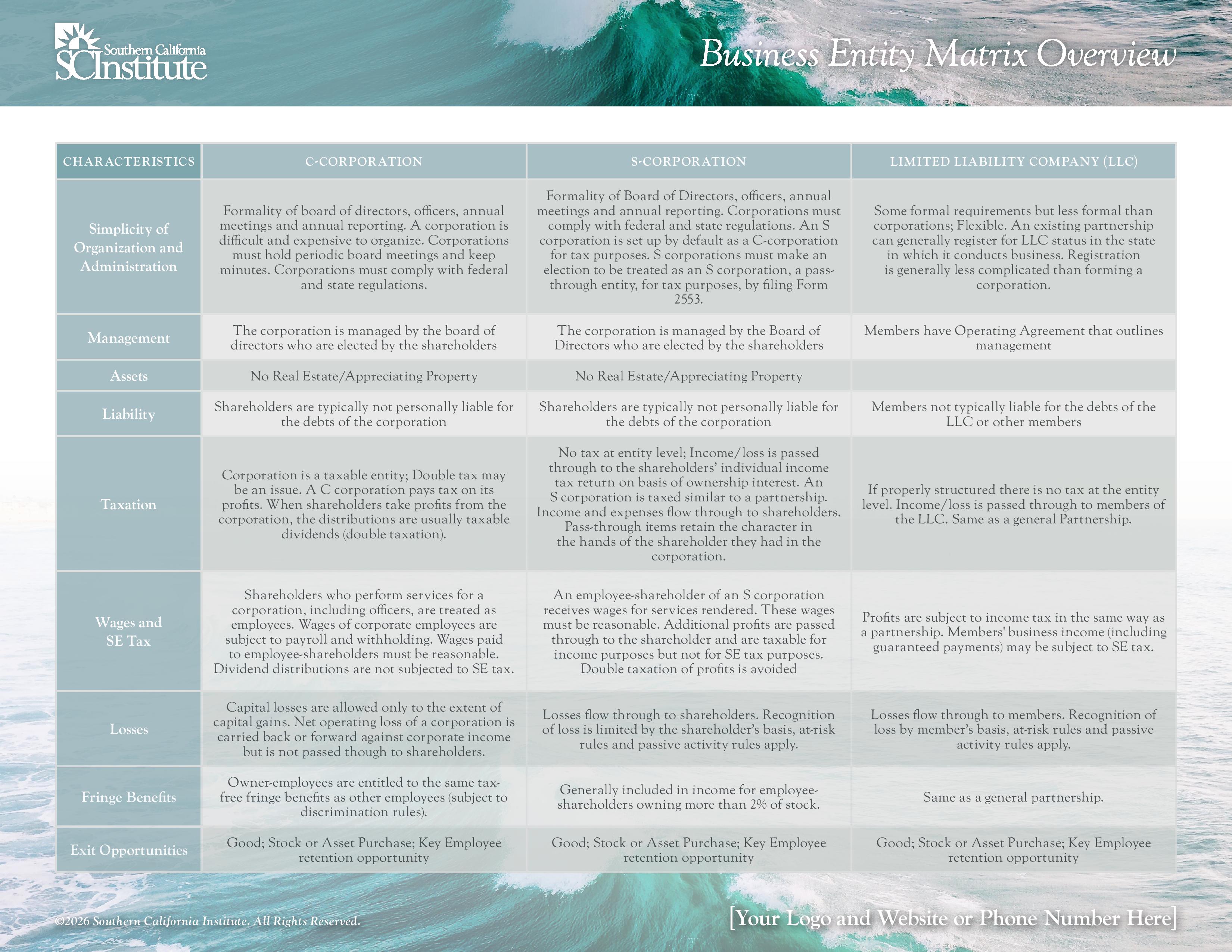 Business Entity Matrix 